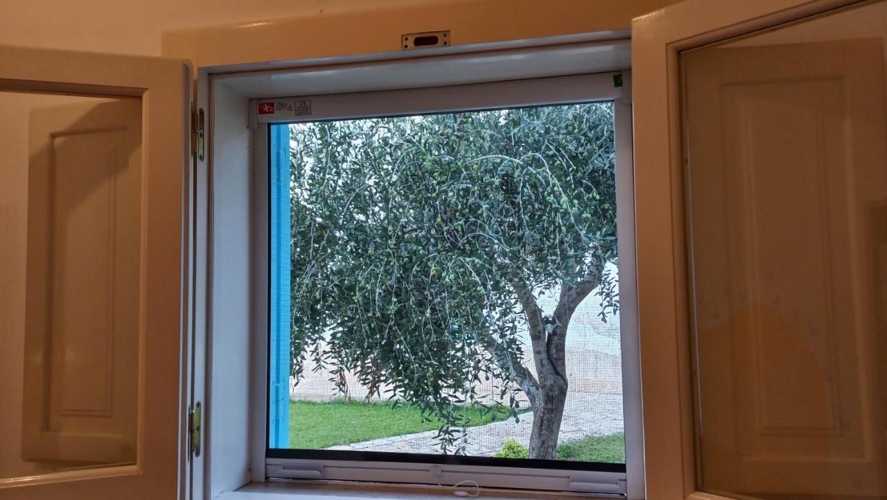 Villino Tronchetto Bianco Bed and Breakfast Mola di Bari Buitenkant foto
